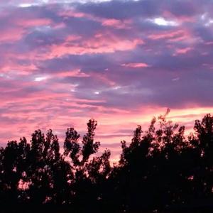 郭晶晶被实干20分钟视频
