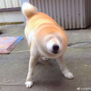 郭晶晶被实干20分钟视频
