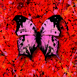 郭晶晶被实干20分钟视频
